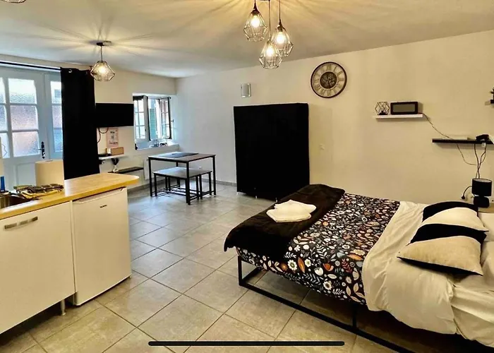 Nid Douillet - Elegant En Plein Centre De Apartment Riom