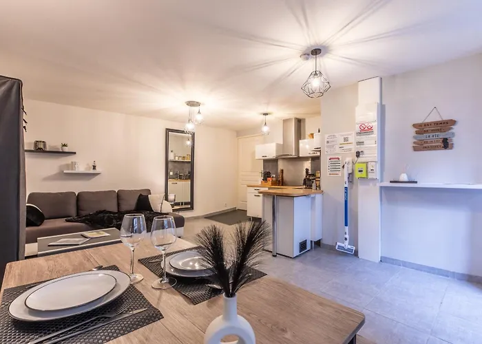 Nid Douillet - Elegant En Plein Centre De Apartment *