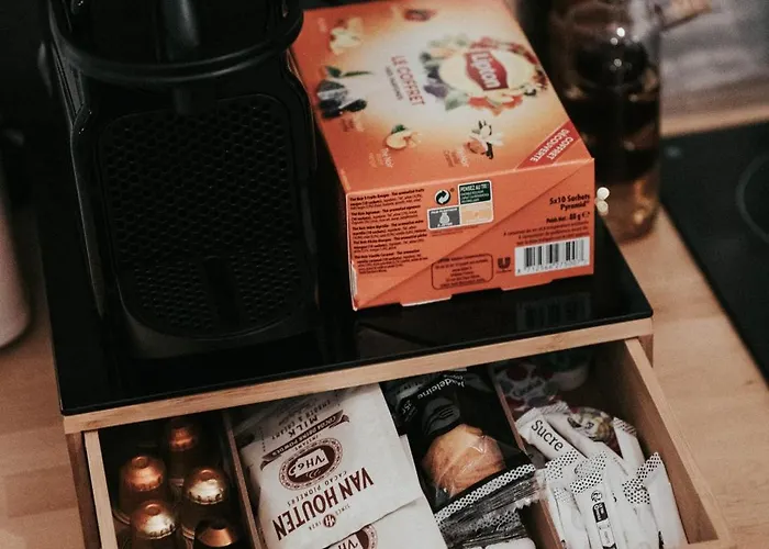 Nid Douillet - Elegant En Plein Centre De Apartment Riom